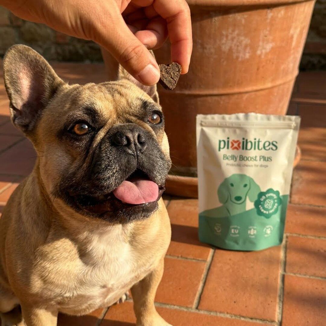 Probiotico per cani contro l'odore intenso in autunno