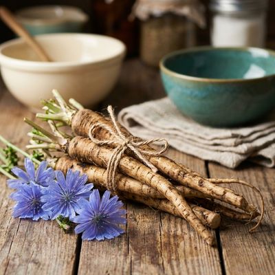 Radici di Cicoria